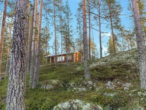 Une cabane entourée de grands pins sur le versant d’une colline.