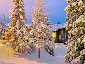 A snow-covered landscape with a cabin and several evergreen trees.