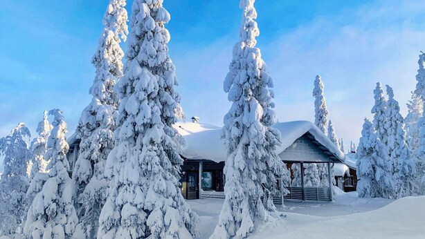 A snow-covered lodge with a large open area and tall trees.