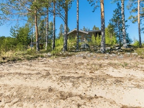 Ein Haus, umgeben von hoch aufragenden Kiefern, mit sandigem Untergrund im Vordergrund.