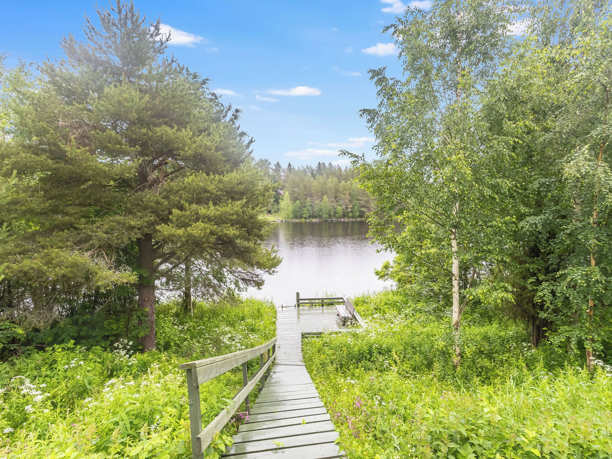 A wooden dock leading to a calm lake surrounded by dense greenery and trees.