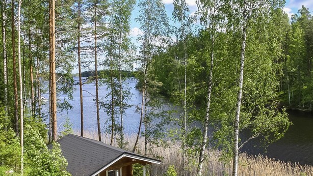 Eine Hütte mit einer Veranda, umgeben von hohen Bäumen und einem See.