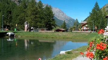 Overnatningsstedets område