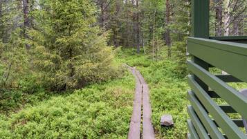 Parco della struttura