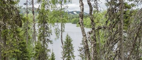 Área arborizada com um lago e montanhas ao fundo.