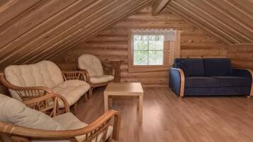 TV, lareira, DVD player