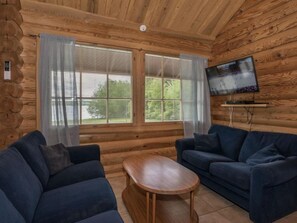 電視、壁爐、DVD 播放機