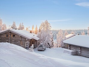A snow-covered cabin with a car parked in front, surrounded by trees and a clear sky.