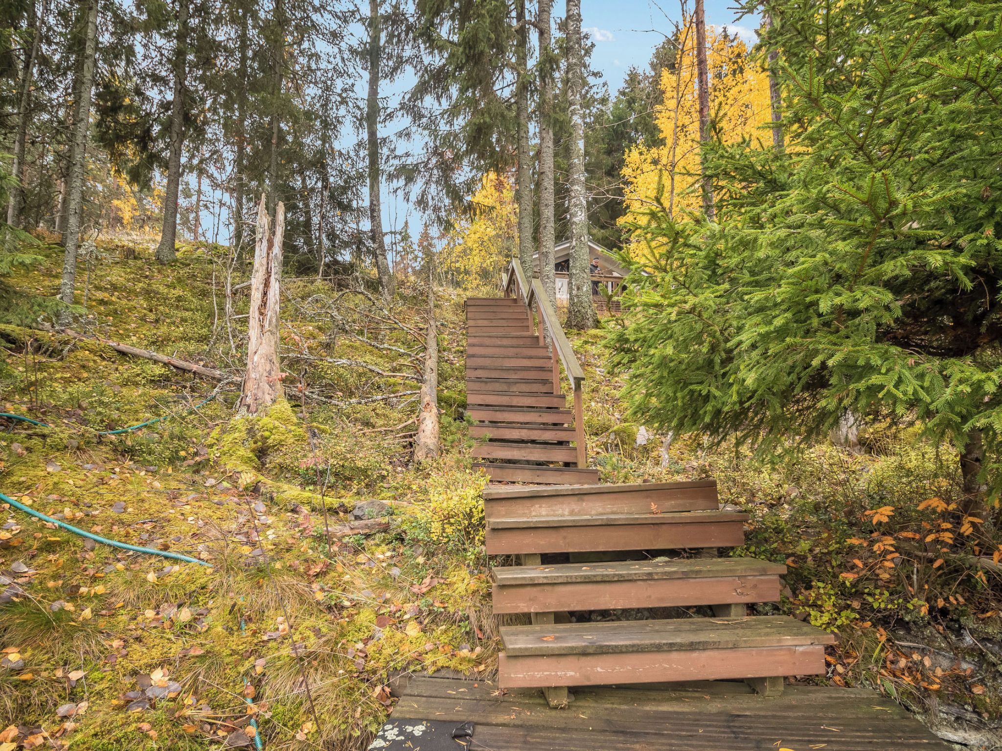 A wooden staircase leading up a hill, surrounded by trees and vegetation.