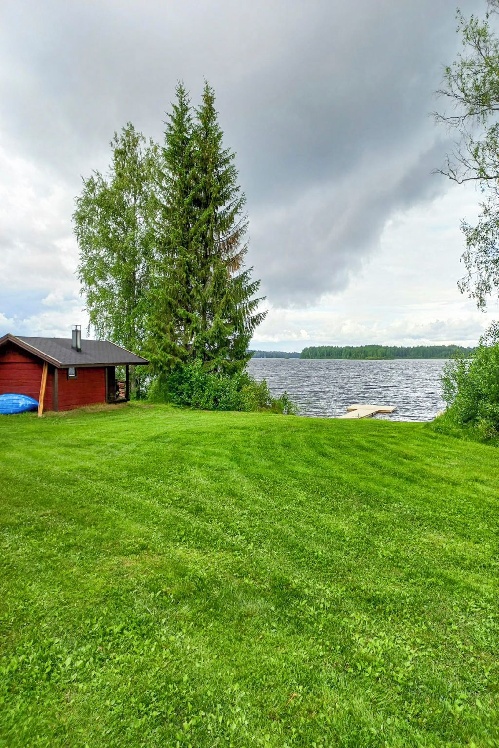 A grassy yard with a red building and a large tree.