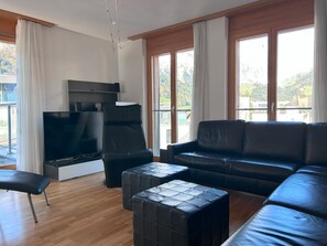 TV, fireplace, DVD player