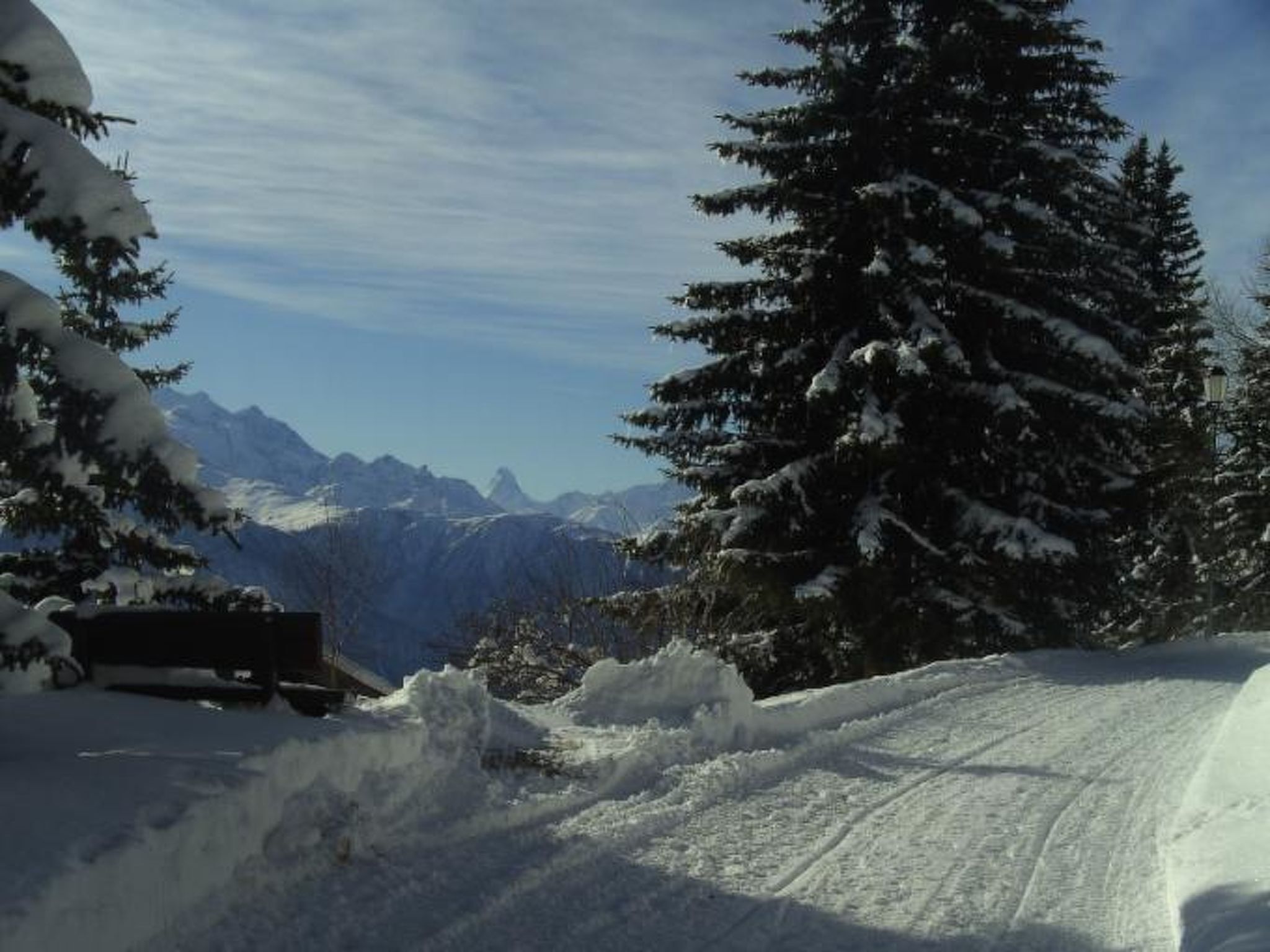 Un paysage de montagne enneigé, avec un ciel dégagé, un arbre recouvert de neige et une piste de motoneige.