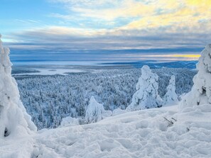 A snowy landscape with dense forests and a distant body of water.
