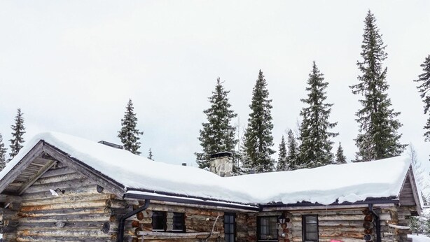Una cabaña de troncos con techo cubierto de nieve, rodeada de altos pinos.