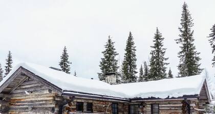 Hopukka a2 by Interhome