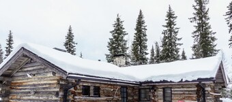 Hopukka a2 by Interhome