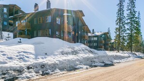 Un edificio de varios pisos con suelo cubierto de nieve, un camino de tierra y altos pinos.