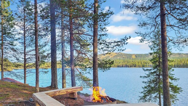 Un foyer en bois, entouré d’arbres et bordé par un lac.