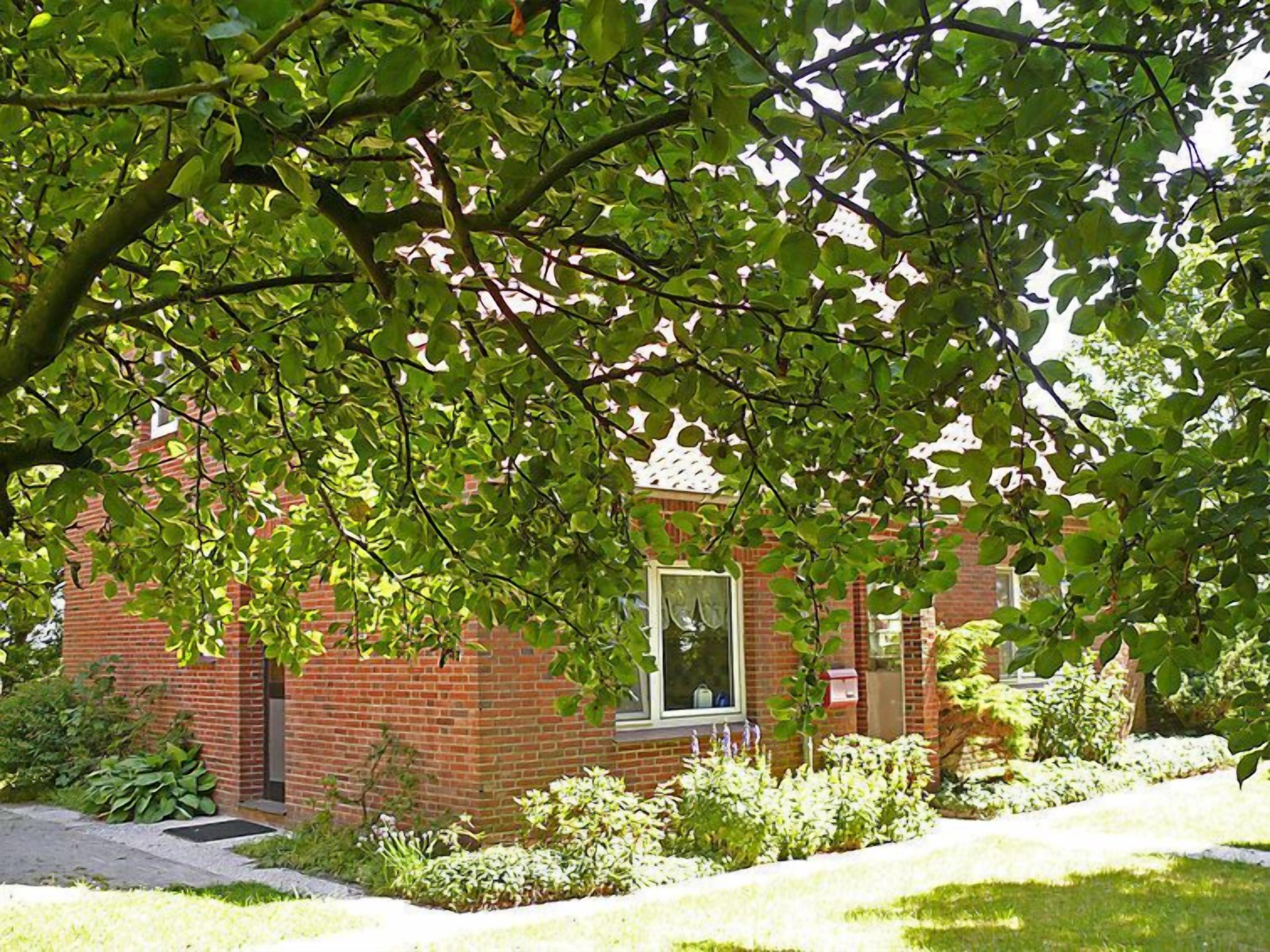 Un bâtiment en briques avec une fenêtre et une porte, entouré de verdure et d’un petit jardin.
