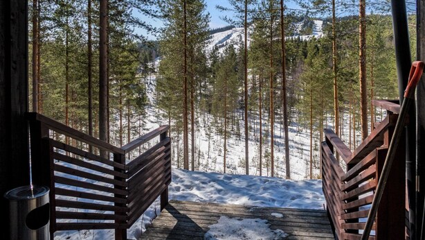 A wooden deck leading into a snowy forest with tall pine trees and a clear sky.