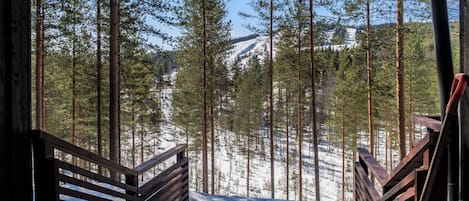 A wooden staircase leading down to a snowy landscape with a forest in the background.