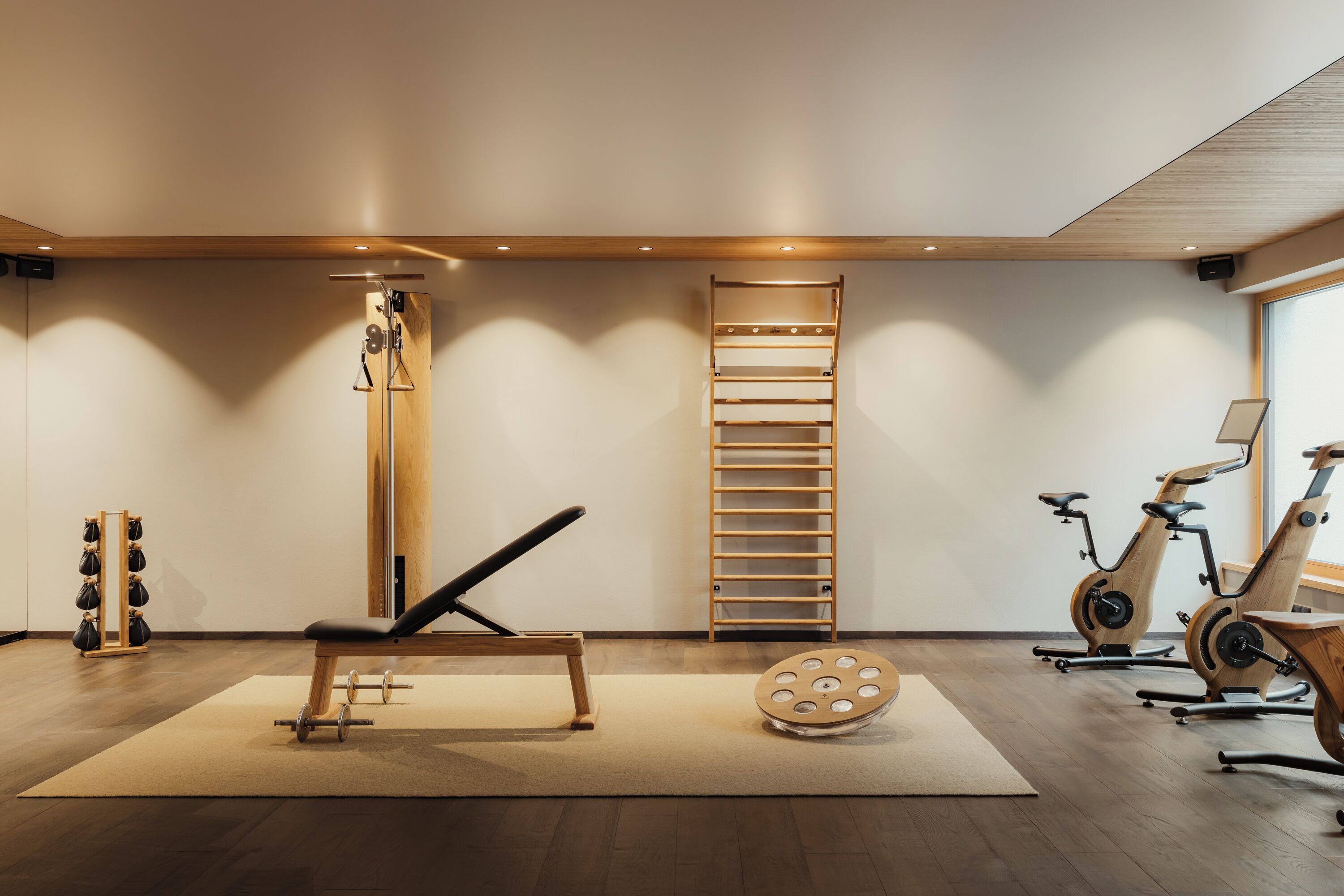 Un gimnasio con equipo de ejercicio, una barra de dominadas y una bicicleta estática.