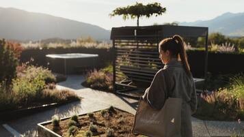 A person standing in a garden area with a bench and a tree.