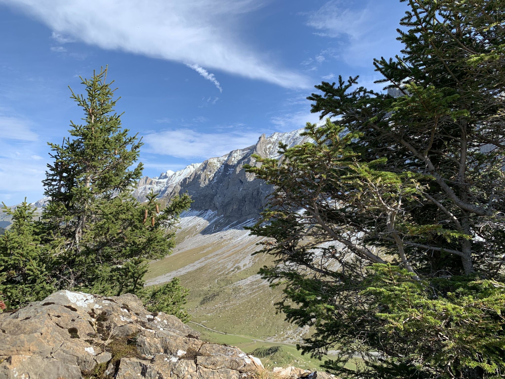 Paesaggio montuoso con terreno roccioso e alberi di conifere.