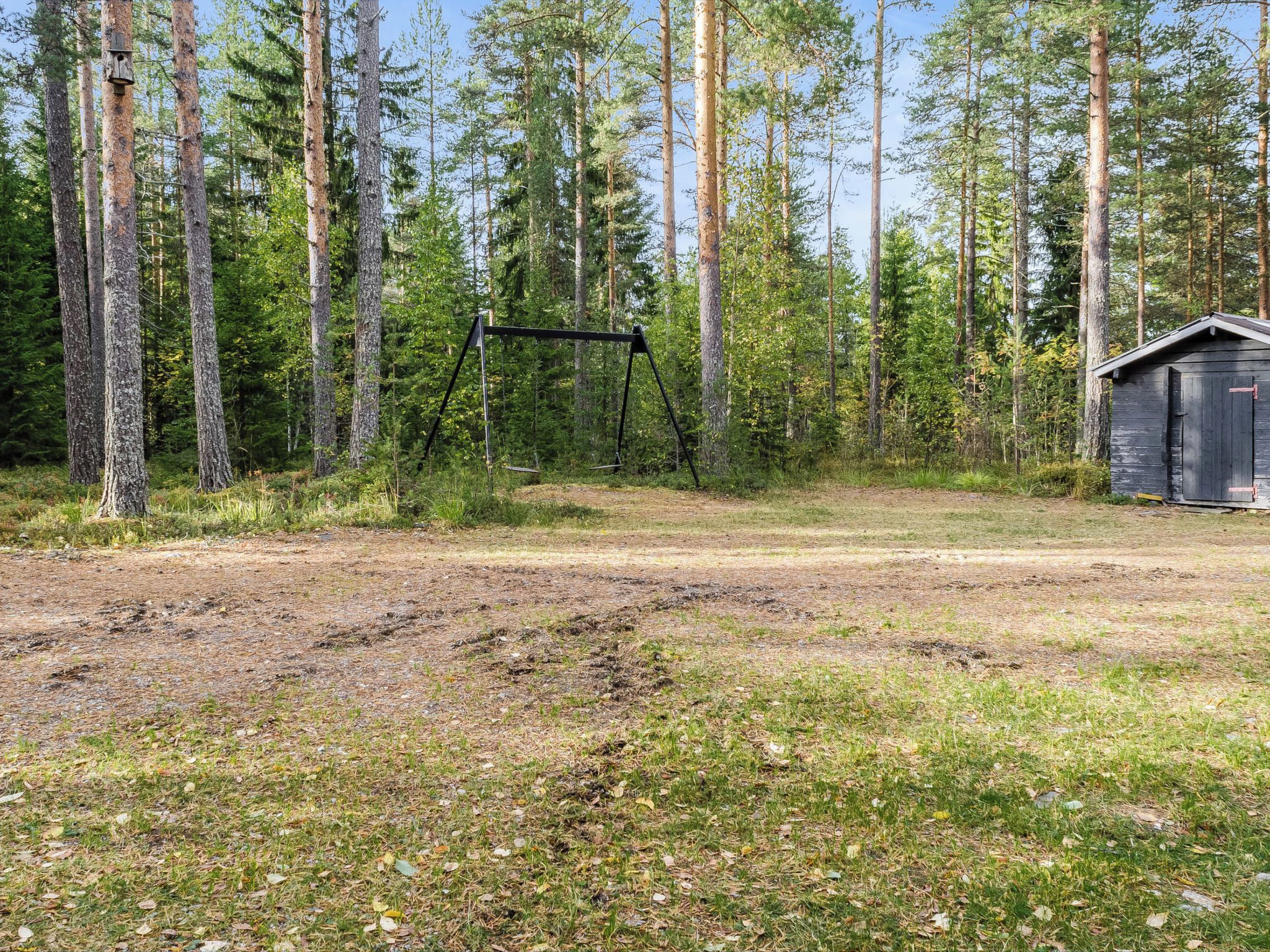 Metsäinen alue, jossa on leikkikeinu ja pieni varasto.