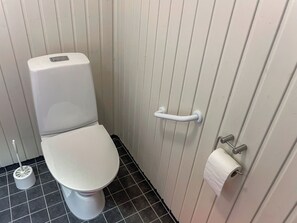 A small, compact bathroom with a white toilet, a handrail on the door, and a toilet paper holder.