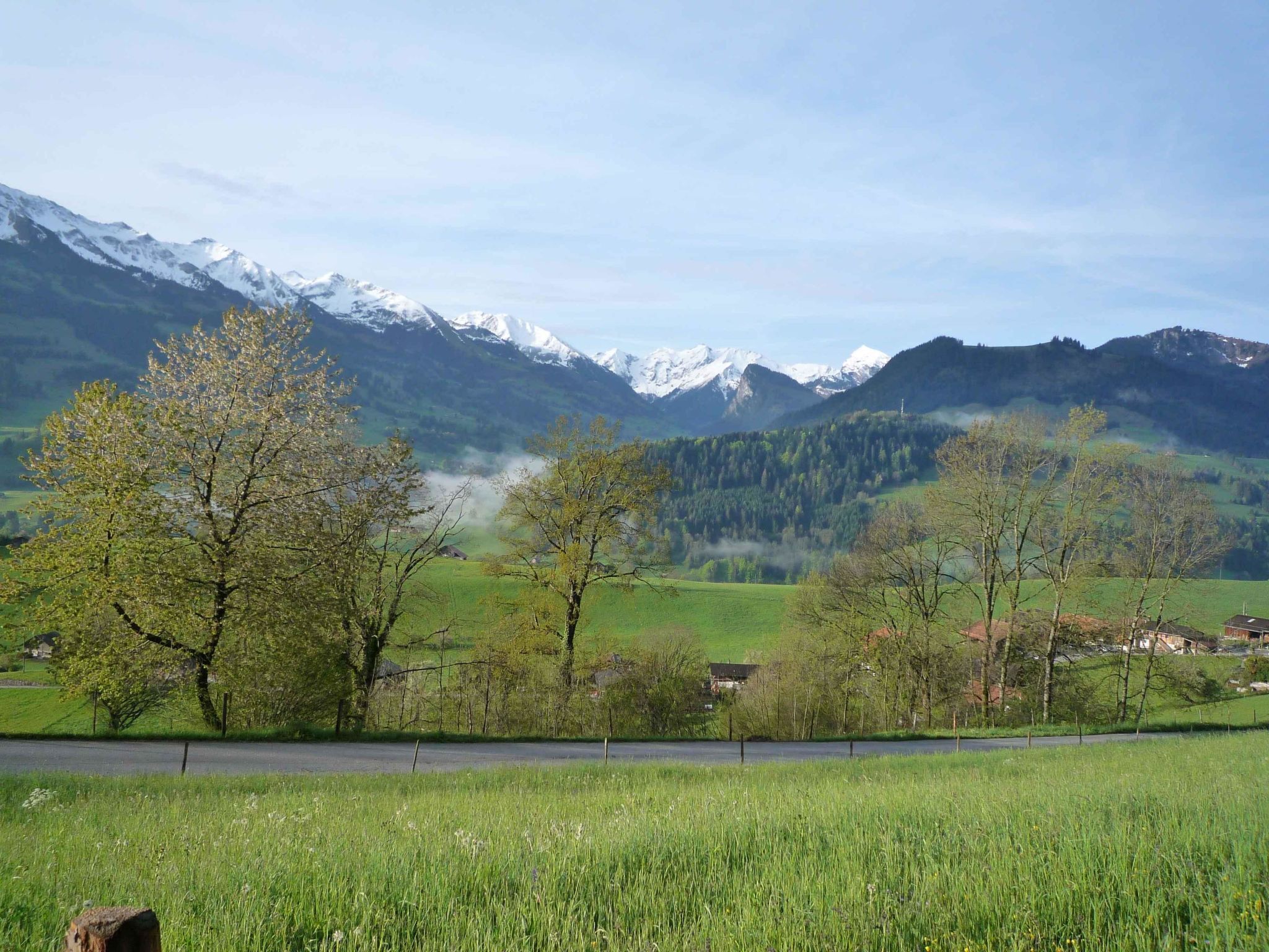 Un paysage rural avec une route, des arbres et des montagnes en arrière-plan.