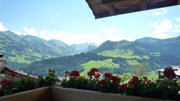 A wooden bench overlooking a mountainous landscape with red flowers in the foreground. - Ferienhaus Niesen View by Interhome (Erlenbach)