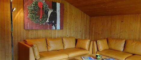 Fernseher