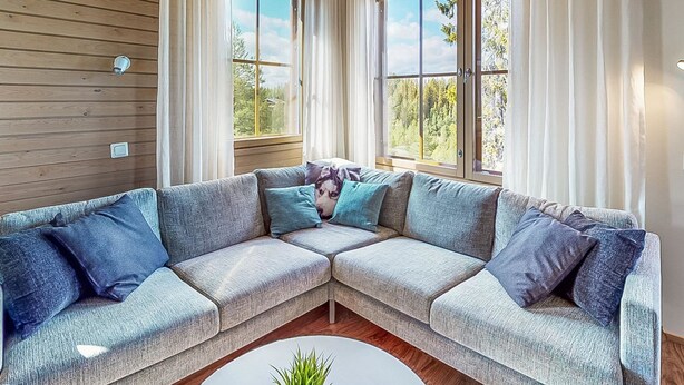 Una sala de estar moderna con un sofá modular, ventanas amplias y una planta en maceta.