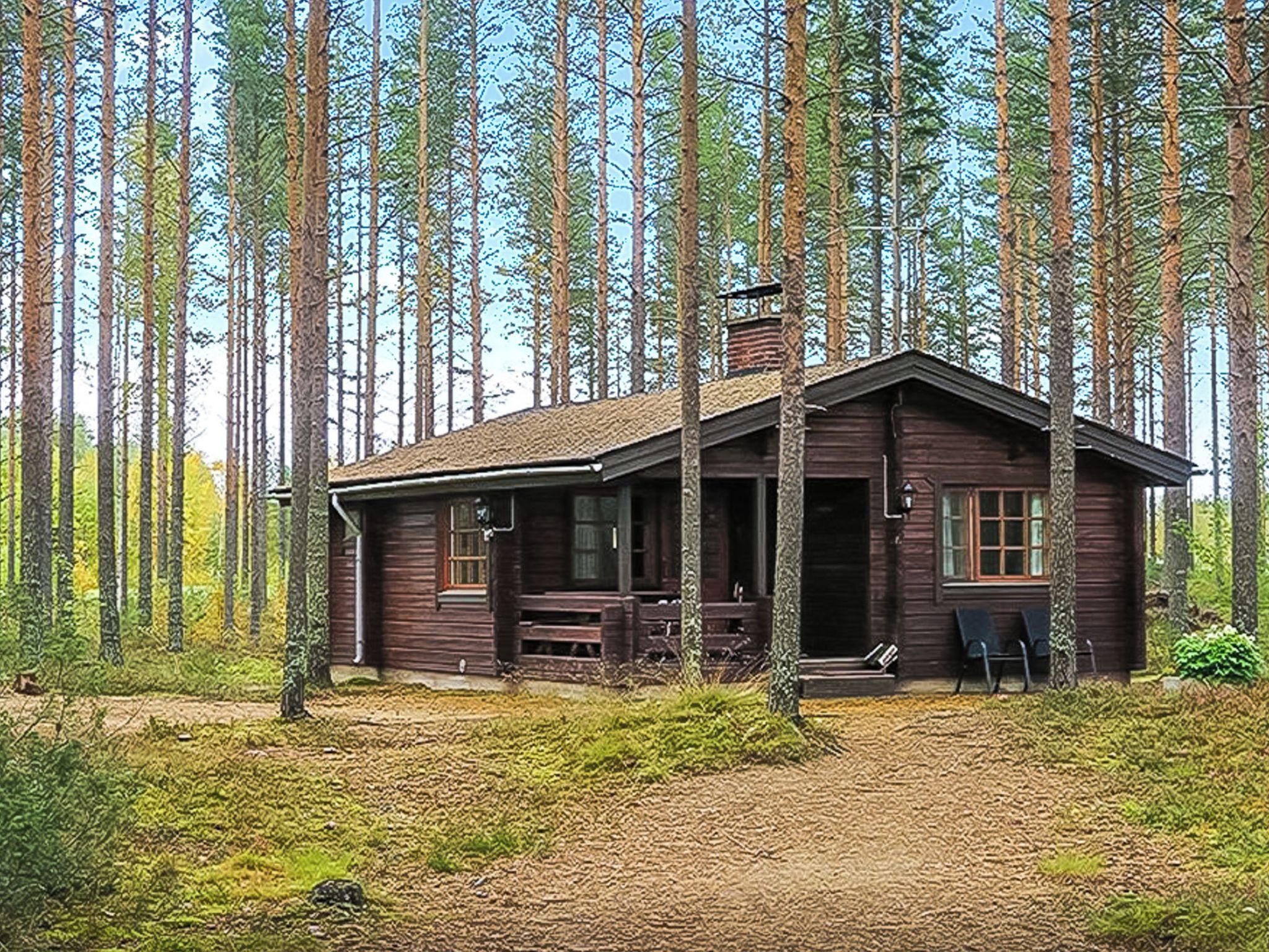 A rustic cabin with a porch, surrounded by tall trees.