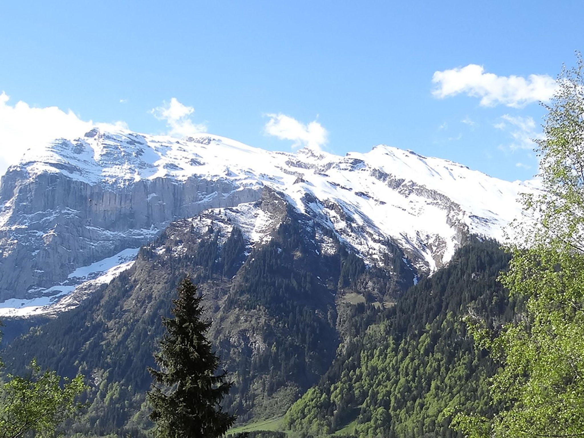 A mountain landscape with snow-covered peaks and dense forest.