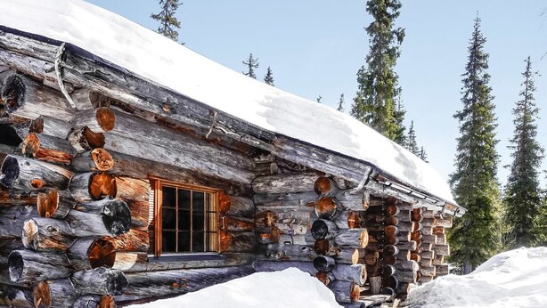 Een houten blokhut met een houten deur en raam, omringd door sneeuw en hoge bomen.