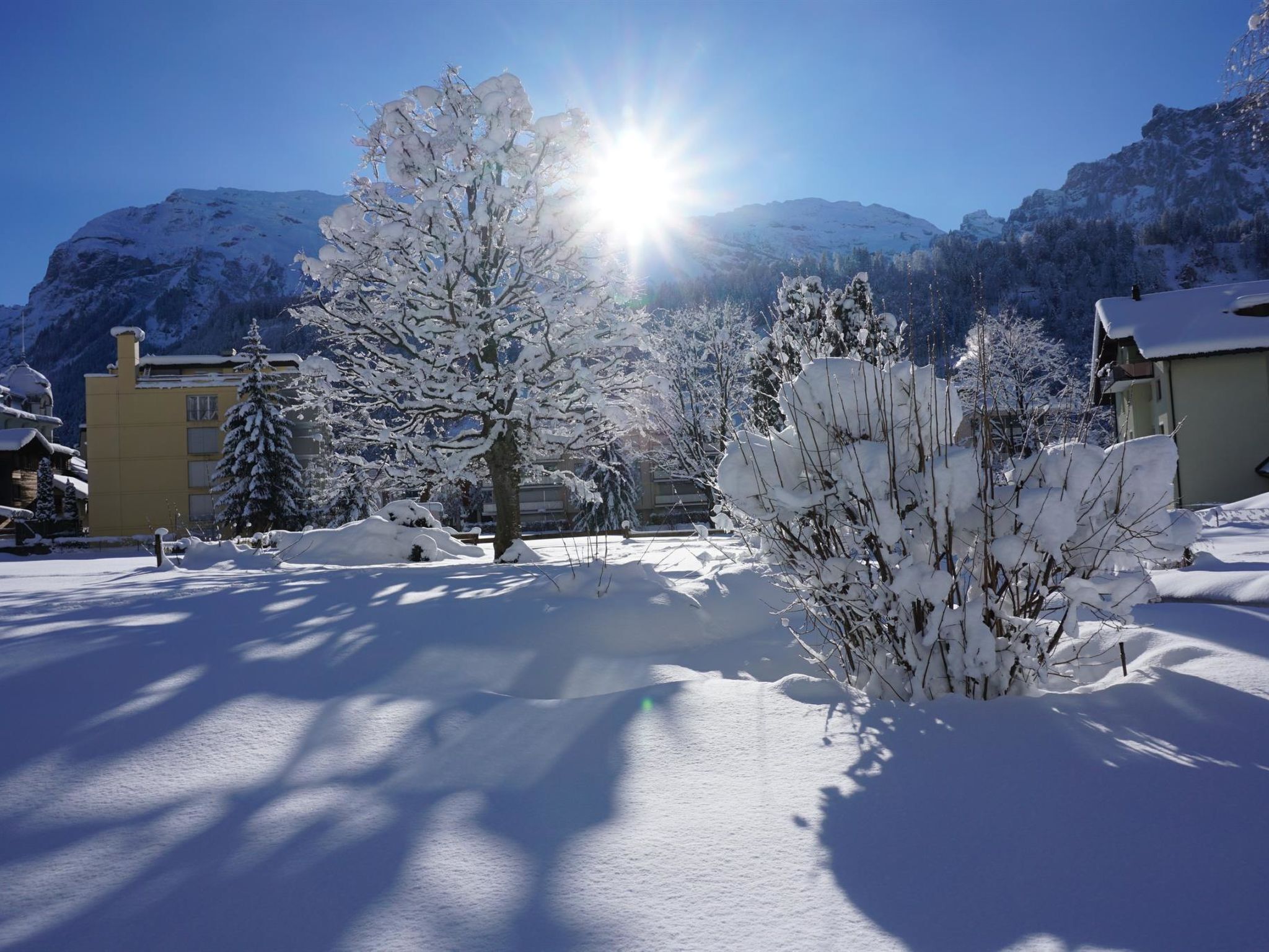 A snow-covered landscape with a mountain in the background and a building with a yellow facade.