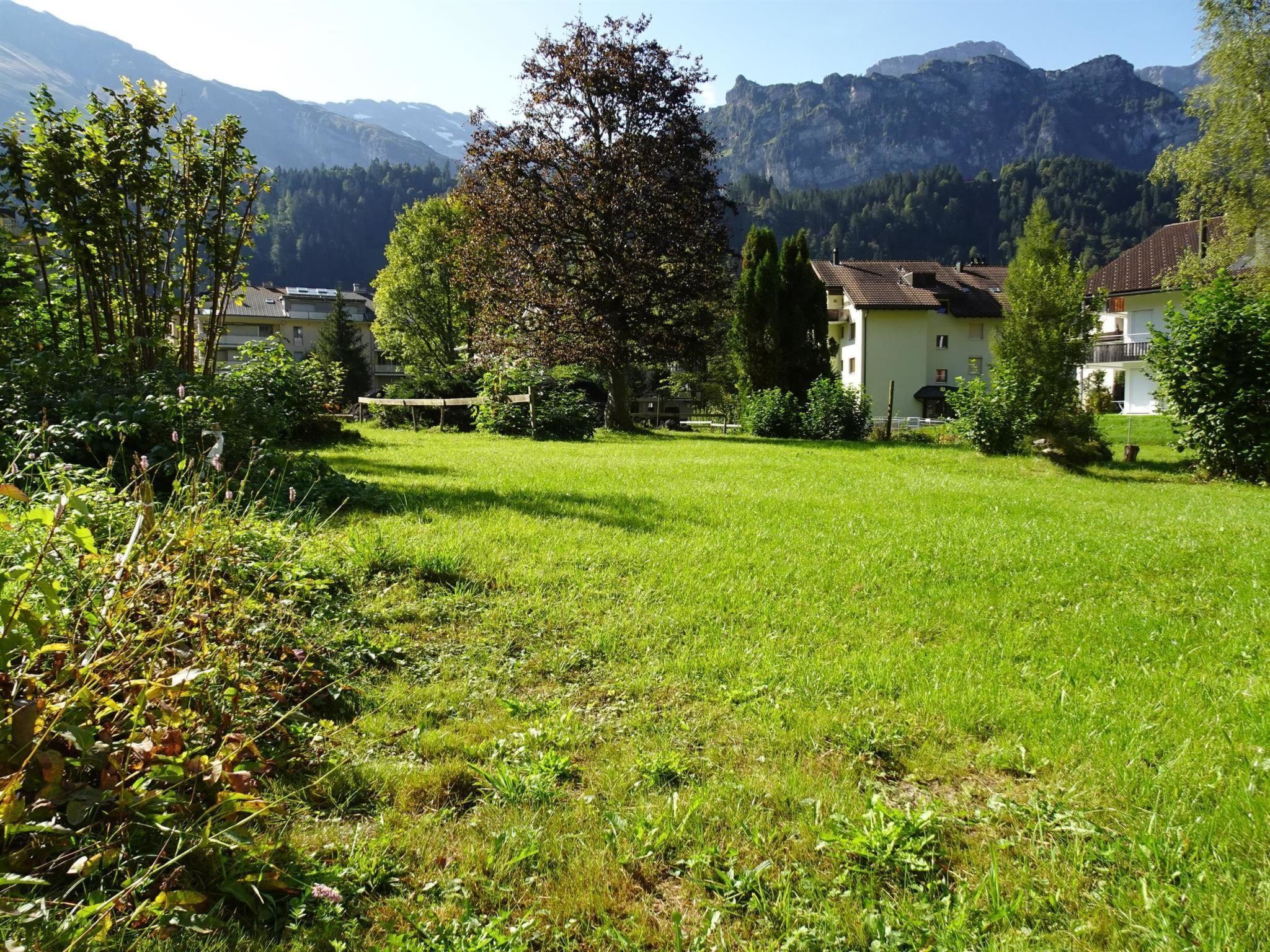 Un quartier résidentiel avec des maisons, un champ verdoyant et des montagnes en arrière-plan.