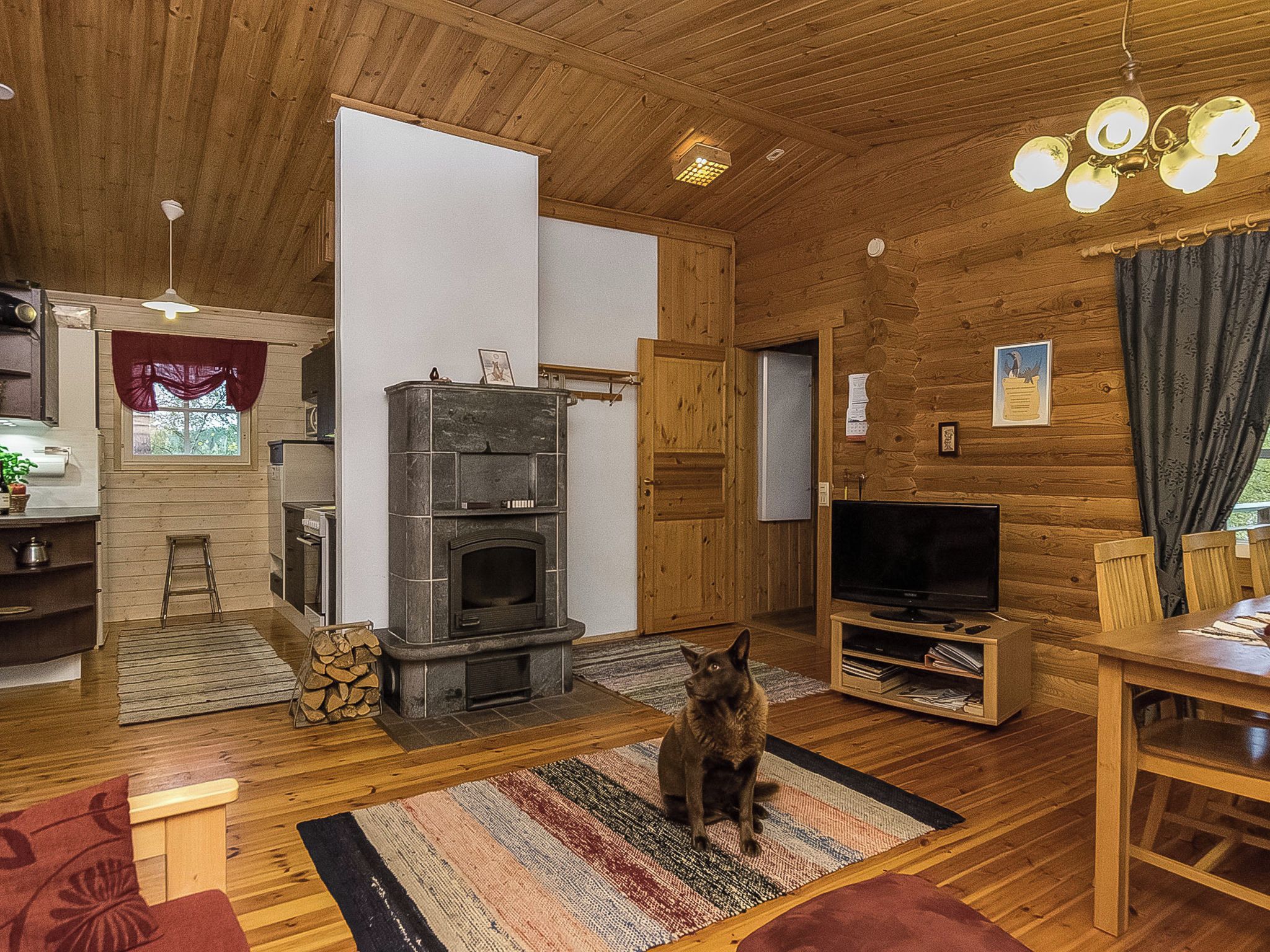 Een gezellige woonkamer met een open haard, een televisie en een hond.