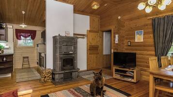 Een gezellige woonkamer met een open haard, een televisie en een hond.