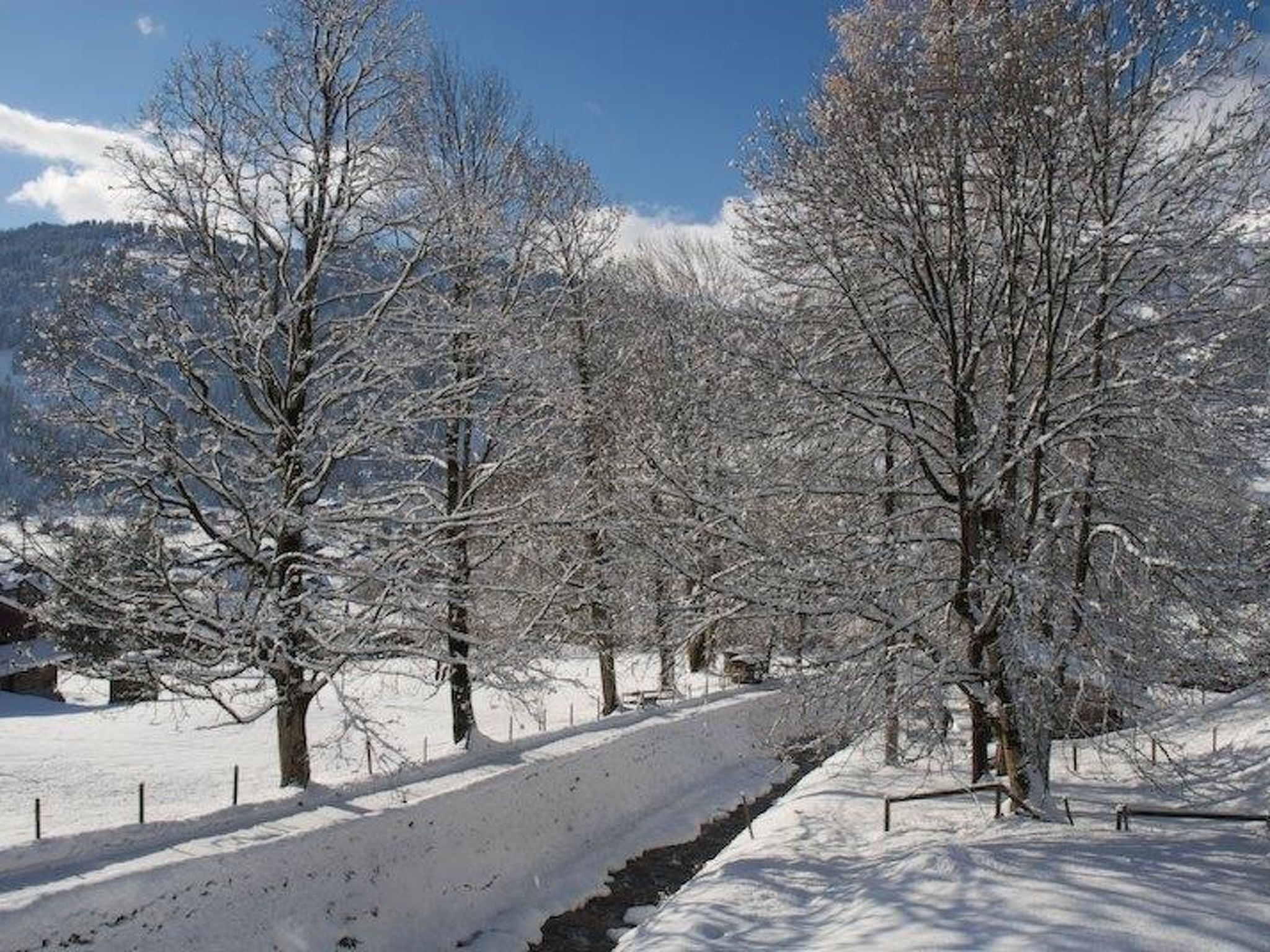 Un paysage enneigé, avec des arbres sans feuilles et un ciel dégagé.
