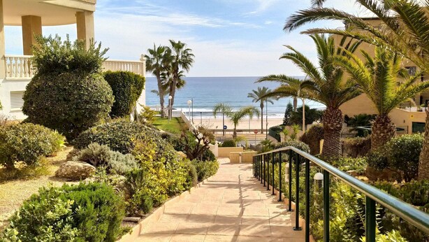 Un sentiero che conduce a una spiaggia con palme e vista sull'oceano.