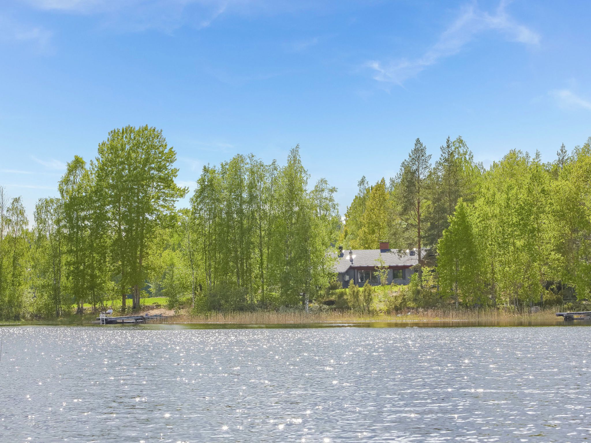 En ejendom ved søen med et hus omgivet af træer.