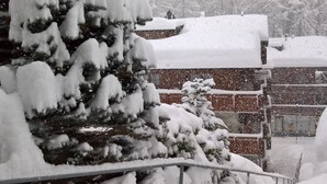 Un bâtiment recouvert de neige, avec un toit en pente, et un arbre également couvert de neige au premier plan.
