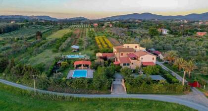 Contadino by Interhome
