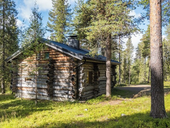 Une cabane rustique en rondins de bois, surmontée d’un toit en métal, entourée d’une forêt.