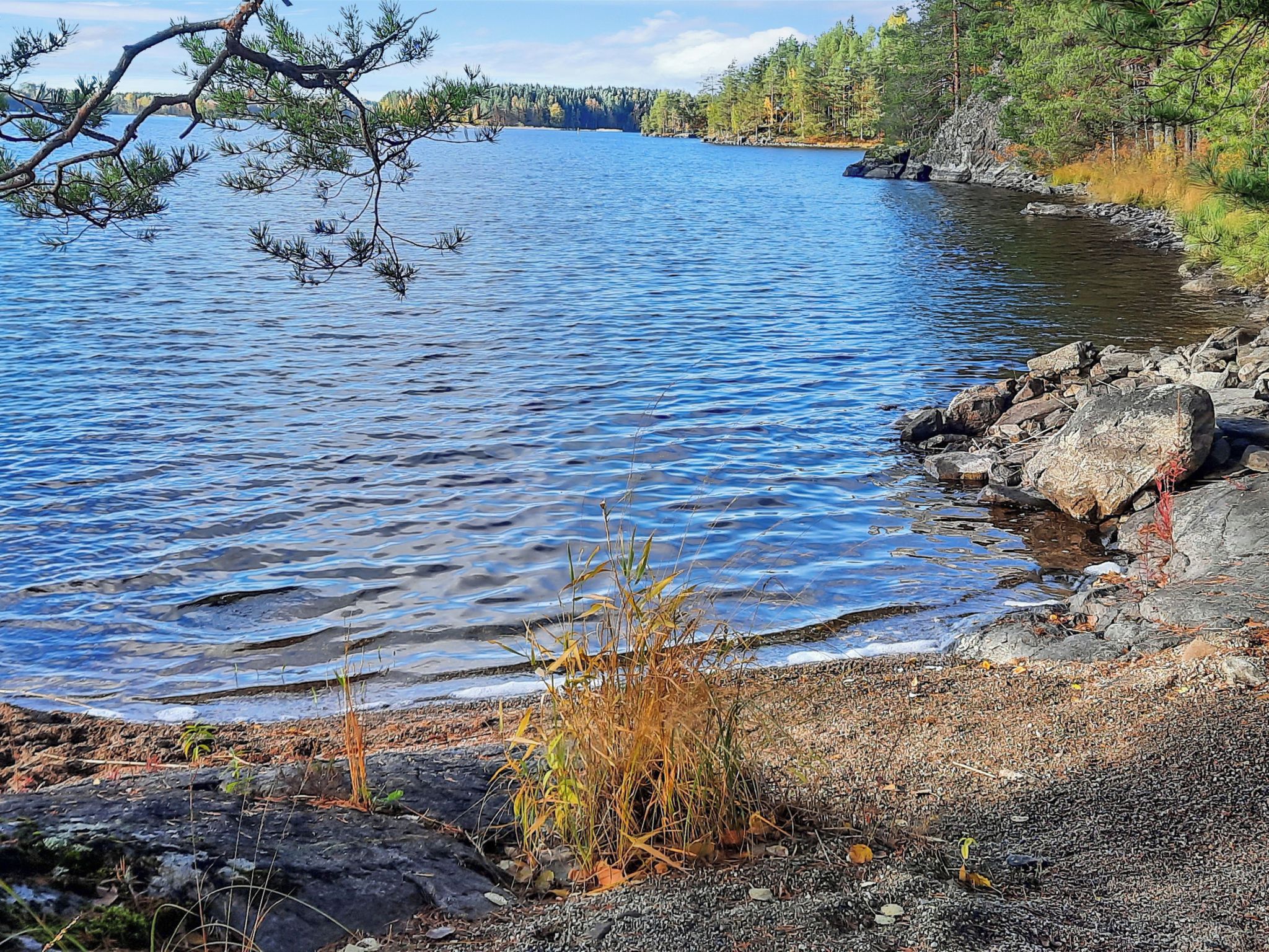 A calm lake with rocky shores and trees in the background.
