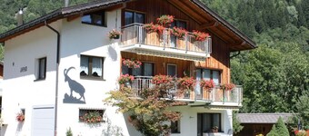 フィエッシュのアパートメントサフィール-2人、1ベッドルーム