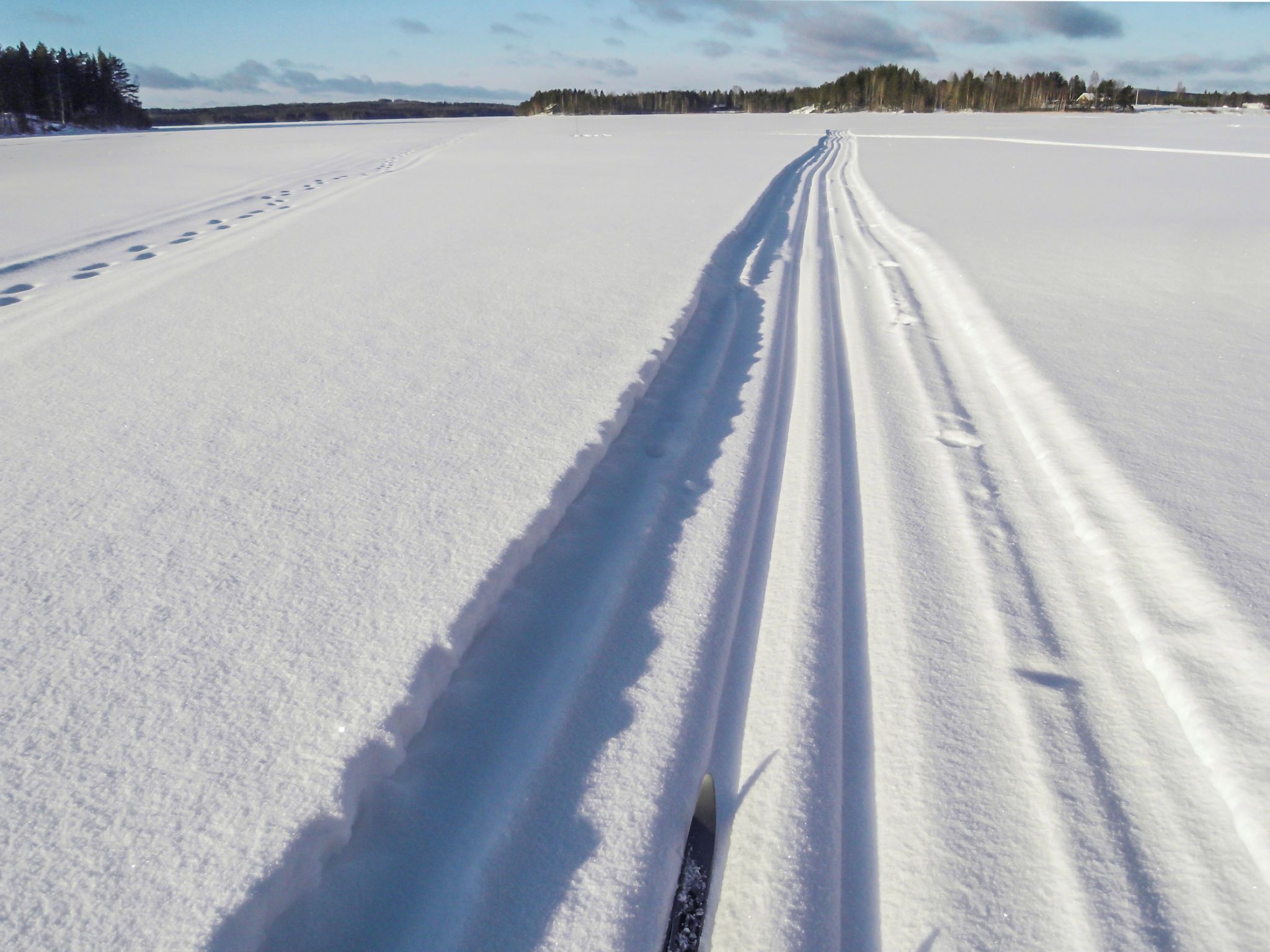 Un vaste champ plat, recouvert de neige, où l’on aperçoit des traces de pneus qui s’éloignent à l’horizon, et une rangée d’arbres en arrière-plan.